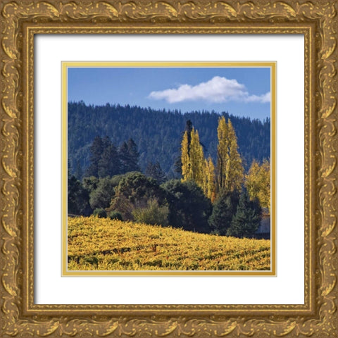 Autumn Gold II Gold Ornate Wood Framed Art Print with Double Matting by Crane, Rita