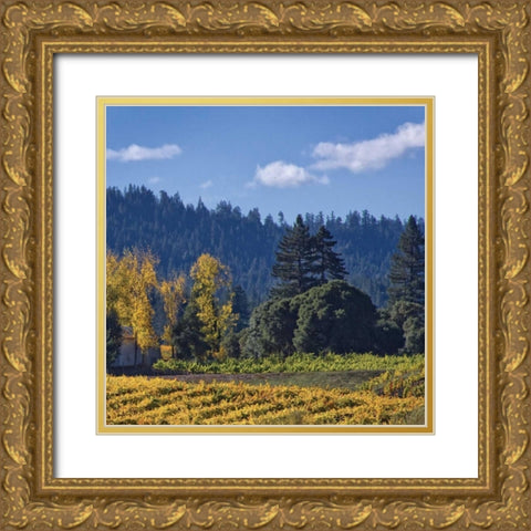 Autumn Gold III Gold Ornate Wood Framed Art Print with Double Matting by Crane, Rita