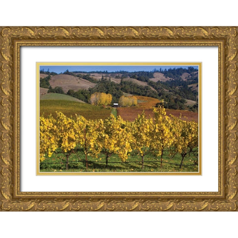 Barns and Vineyards I Gold Ornate Wood Framed Art Print with Double Matting by Crane, Rita