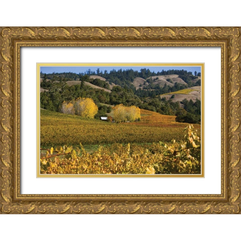 Barns and Vineyards II Gold Ornate Wood Framed Art Print with Double Matting by Crane, Rita