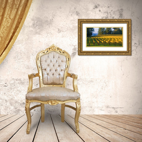Golden Rows IV Gold Ornate Wood Framed Art Print with Double Matting by Crane, Rita