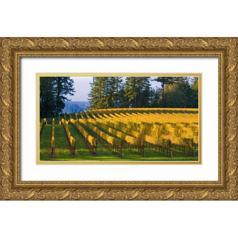 Golden Rows IV Gold Ornate Wood Framed Art Print with Double Matting by Crane, Rita
