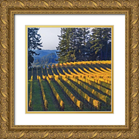 Golden Rows VI Gold Ornate Wood Framed Art Print with Double Matting by Crane, Rita
