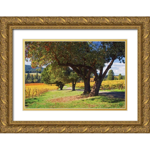 Oak and Vine II Gold Ornate Wood Framed Art Print with Double Matting by Crane, Rita