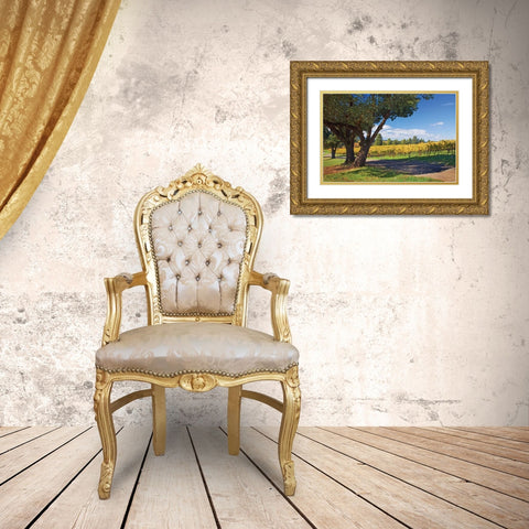 Oak and Vine IV Gold Ornate Wood Framed Art Print with Double Matting by Crane, Rita