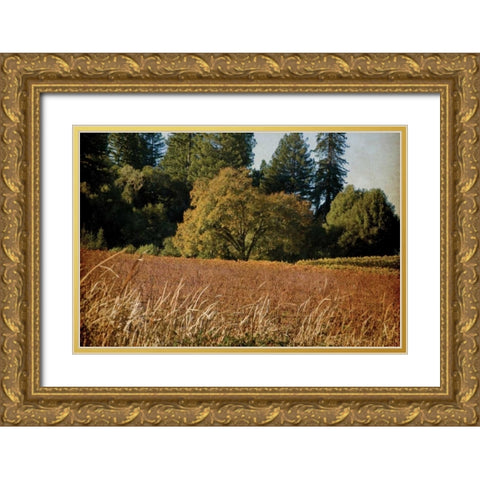 Vineyard Tapestry I Gold Ornate Wood Framed Art Print with Double Matting by Crane, Rita