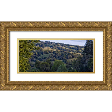 Woodland Pastures I Gold Ornate Wood Framed Art Print with Double Matting by Crane, Rita