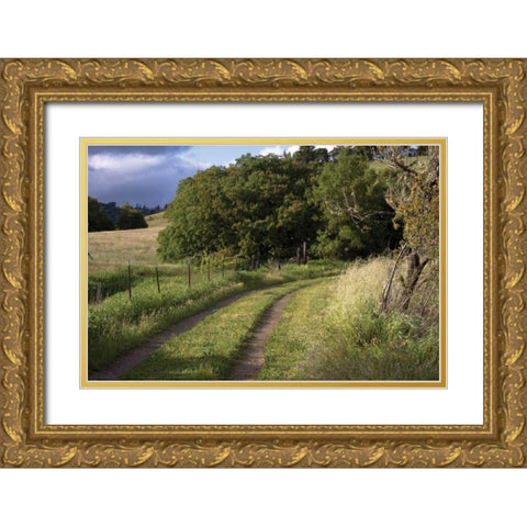 In the Country II Gold Ornate Wood Framed Art Print with Double Matting by Crane, Rita