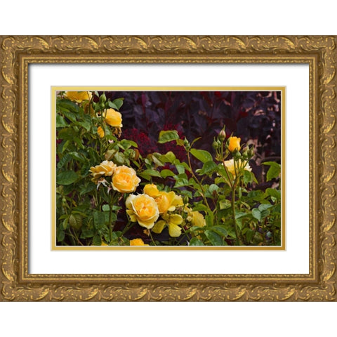 Garden Glimpse V Gold Ornate Wood Framed Art Print with Double Matting by Crane, Rita