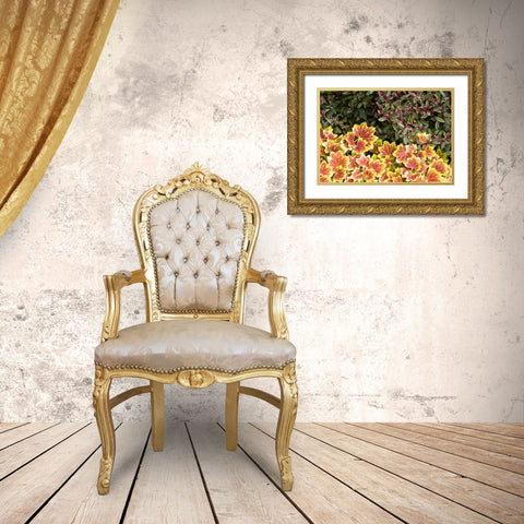 Garden Glimpse X Gold Ornate Wood Framed Art Print with Double Matting by Crane, Rita