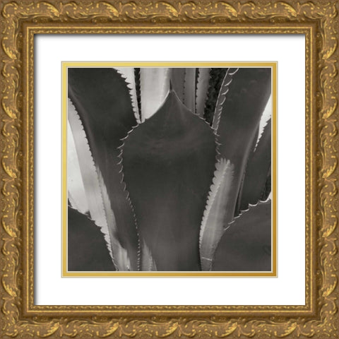 Agave II Gold Ornate Wood Framed Art Print with Double Matting by Crane, Rita