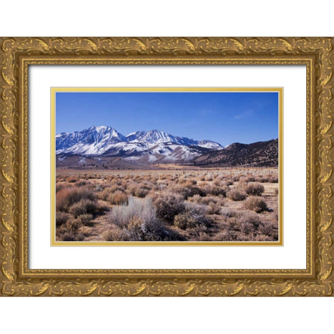 Eastern Sierra I Gold Ornate Wood Framed Art Print with Double Matting by Crane, Rita