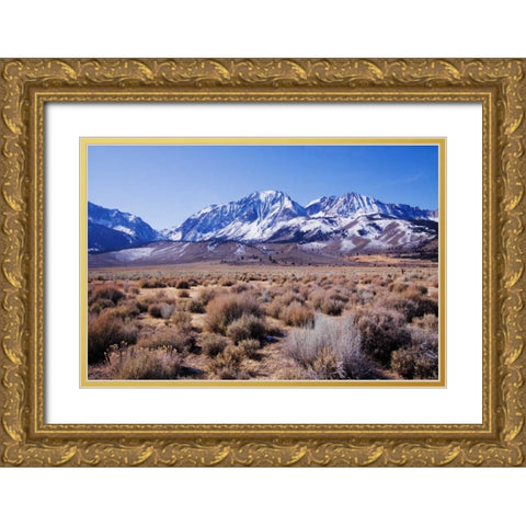 Eastern Sierra II Gold Ornate Wood Framed Art Print with Double Matting by Crane, Rita