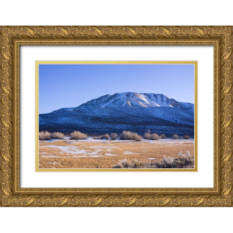 Eastern Sierra III Gold Ornate Wood Framed Art Print with Double Matting by Crane, Rita