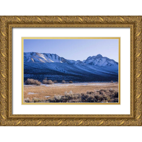 Eastern Sierra IV Gold Ornate Wood Framed Art Print with Double Matting by Crane, Rita