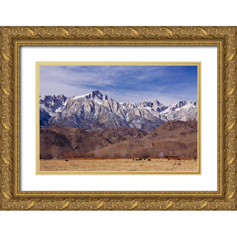 Mt. Whitney Range I Gold Ornate Wood Framed Art Print with Double Matting by Crane, Rita