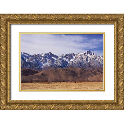 Mt. Whitney Range II Gold Ornate Wood Framed Art Print with Double Matting by Crane, Rita