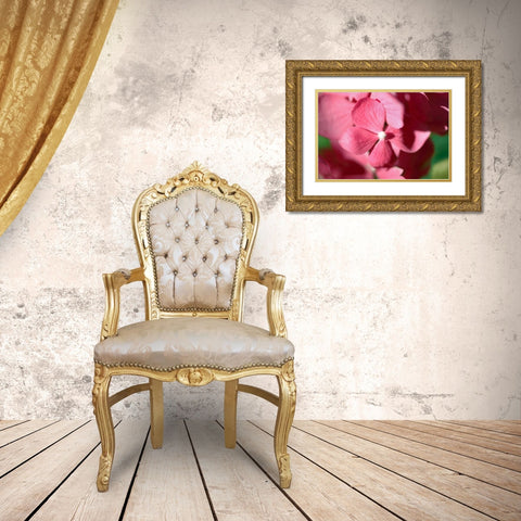Pink Hydrangeas I Gold Ornate Wood Framed Art Print with Double Matting by Crane, Rita