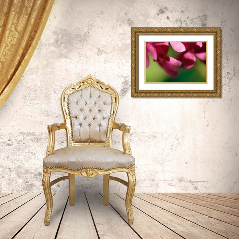 Pink Hydrangeas II Gold Ornate Wood Framed Art Print with Double Matting by Crane, Rita