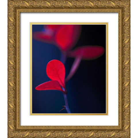 Dancing Blue and Red I Gold Ornate Wood Framed Art Print with Double Matting by Crane, Rita