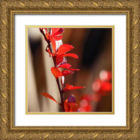 Red Leaves I Gold Ornate Wood Framed Art Print with Double Matting by Crane, Rita
