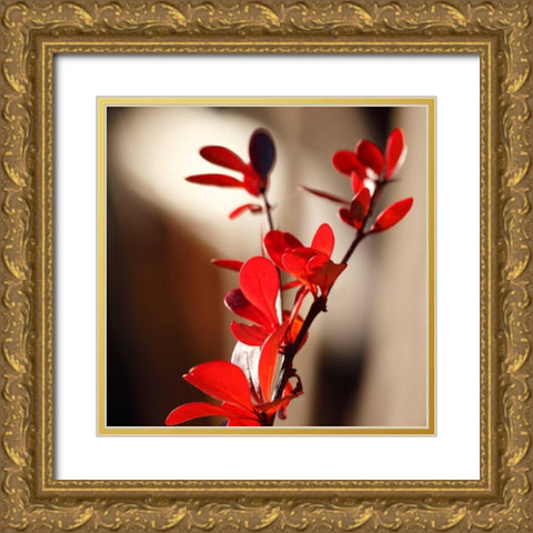 Red Leaves II Gold Ornate Wood Framed Art Print with Double Matting by Crane, Rita