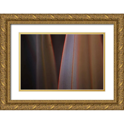 Leaves With Red I Gold Ornate Wood Framed Art Print with Double Matting by Crane, Rita