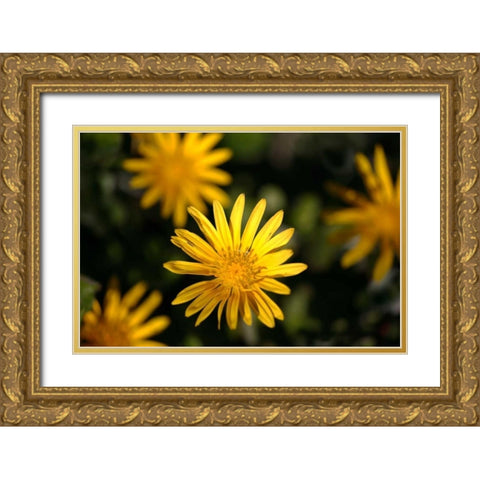 Celebration I Gold Ornate Wood Framed Art Print with Double Matting by Crane, Rita