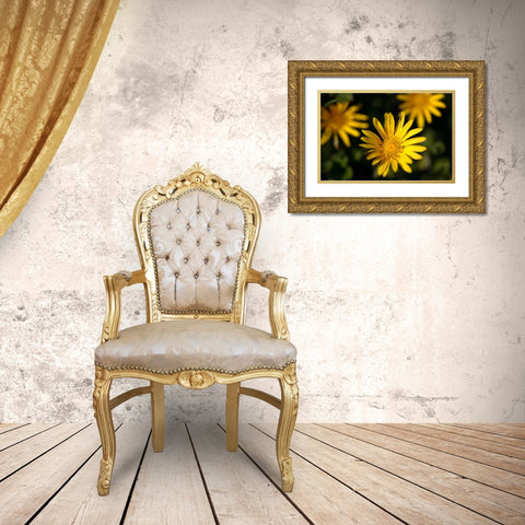Celebration II Gold Ornate Wood Framed Art Print with Double Matting by Crane, Rita