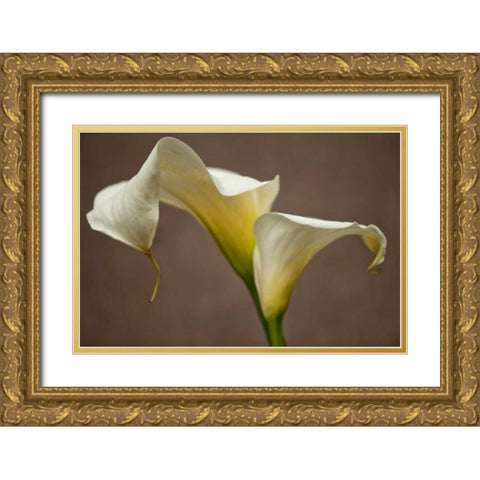 Calla Elegance I Gold Ornate Wood Framed Art Print with Double Matting by Crane, Rita