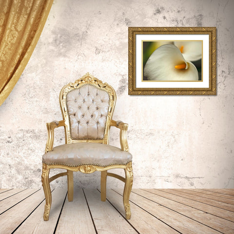 Calla Lilies I Gold Ornate Wood Framed Art Print with Double Matting by Crane, Rita