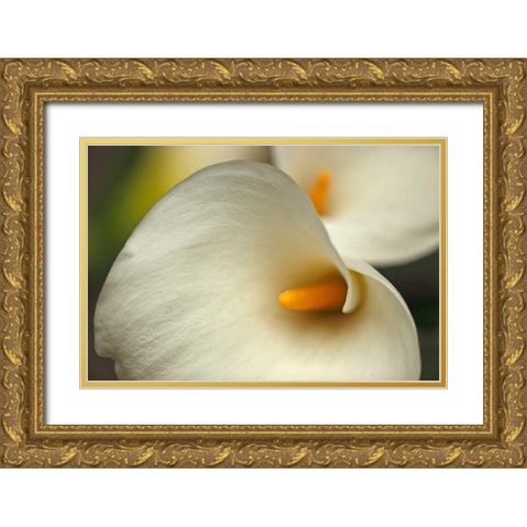 Calla Lilies I Gold Ornate Wood Framed Art Print with Double Matting by Crane, Rita