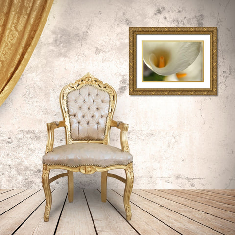 Calla Lilies II Gold Ornate Wood Framed Art Print with Double Matting by Crane, Rita