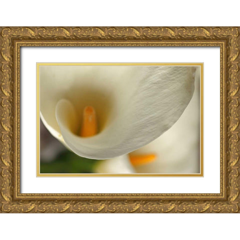 Calla Lilies II Gold Ornate Wood Framed Art Print with Double Matting by Crane, Rita