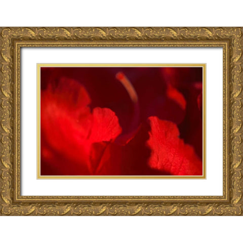 Crimson Petals I Gold Ornate Wood Framed Art Print with Double Matting by Crane, Rita