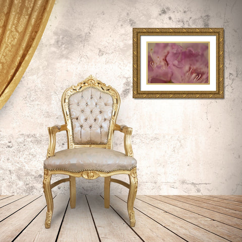Soft Petals II Gold Ornate Wood Framed Art Print with Double Matting by Crane, Rita