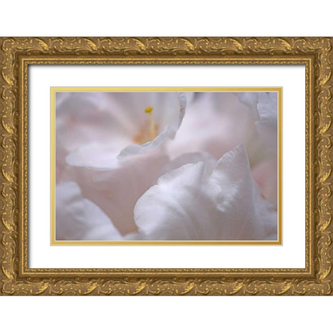 Rosy Petals I Gold Ornate Wood Framed Art Print with Double Matting by Crane, Rita