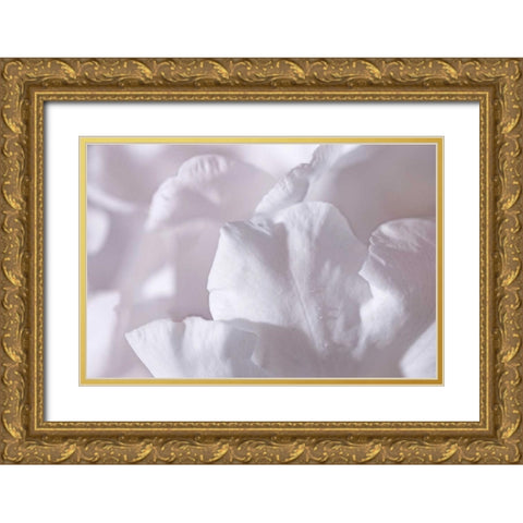 Rosy Petals II Gold Ornate Wood Framed Art Print with Double Matting by Crane, Rita