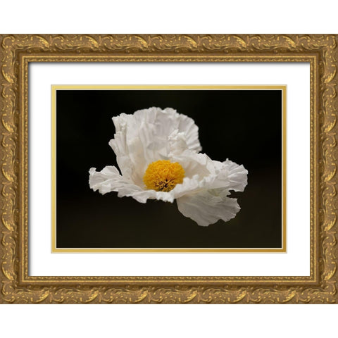Floating Matilija II Gold Ornate Wood Framed Art Print with Double Matting by Crane, Rita