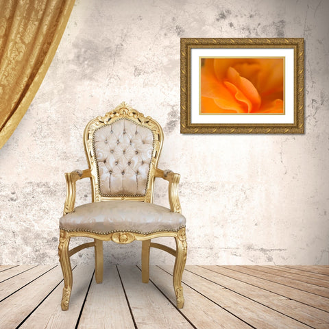 Begonia Glow I Gold Ornate Wood Framed Art Print with Double Matting by Crane, Rita