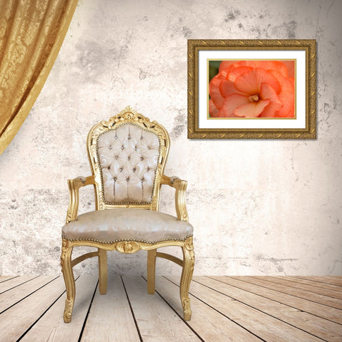 Orange Ruffles II Gold Ornate Wood Framed Art Print with Double Matting by Crane, Rita