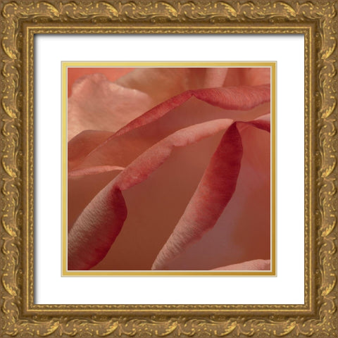 Heart of a Rose IV Gold Ornate Wood Framed Art Print with Double Matting by Crane, Rita