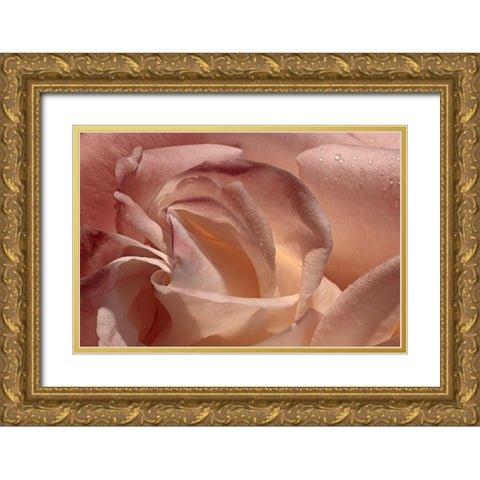 Heart of a Rose IX Gold Ornate Wood Framed Art Print with Double Matting by Crane, Rita