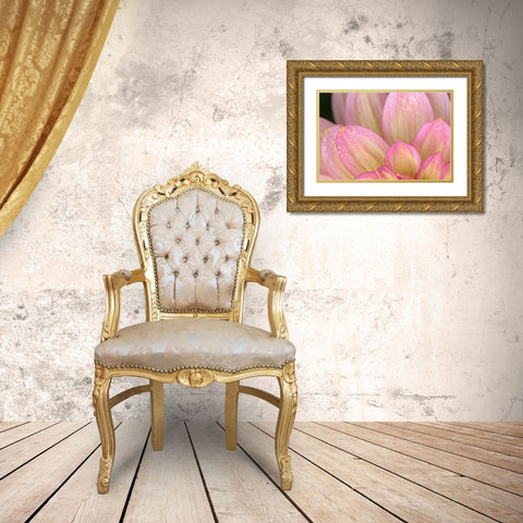 China Doll Petals I Gold Ornate Wood Framed Art Print with Double Matting by Crane, Rita