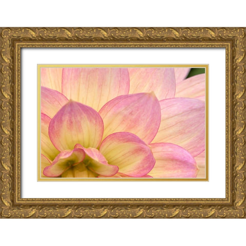 China Doll Petals II Gold Ornate Wood Framed Art Print with Double Matting by Crane, Rita