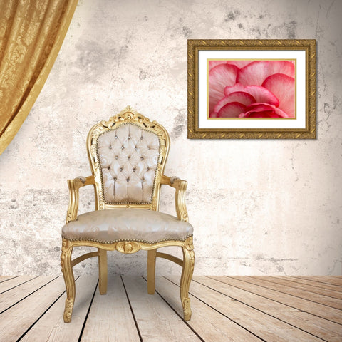 Rosy Red Ruffles I Gold Ornate Wood Framed Art Print with Double Matting by Crane, Rita