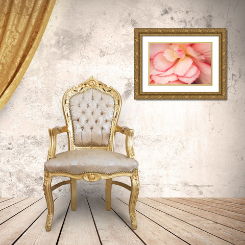 Rosy Red Ruffles II Gold Ornate Wood Framed Art Print with Double Matting by Crane, Rita