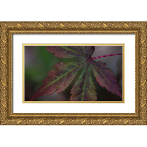 Autumn Maple II Gold Ornate Wood Framed Art Print with Double Matting by Crane, Rita