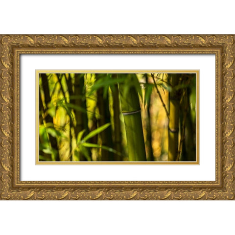 Bamboo Afternoon I Gold Ornate Wood Framed Art Print with Double Matting by Crane, Rita