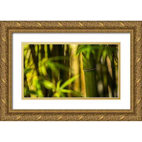 Bamboo Afternoon II Gold Ornate Wood Framed Art Print with Double Matting by Crane, Rita